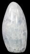 Polished, Blue Calcite Free Form - Madagascar #54622-1